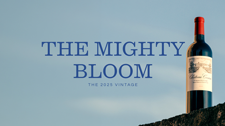 cover-canon-banner-mighty-bloom-nologo.png-1440x-q80_副本